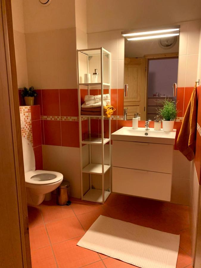 Apartmany Stare-Hory Krkonose Roudnice エクステリア 写真